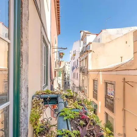 Historic & Typical By Gt House Lisboa
